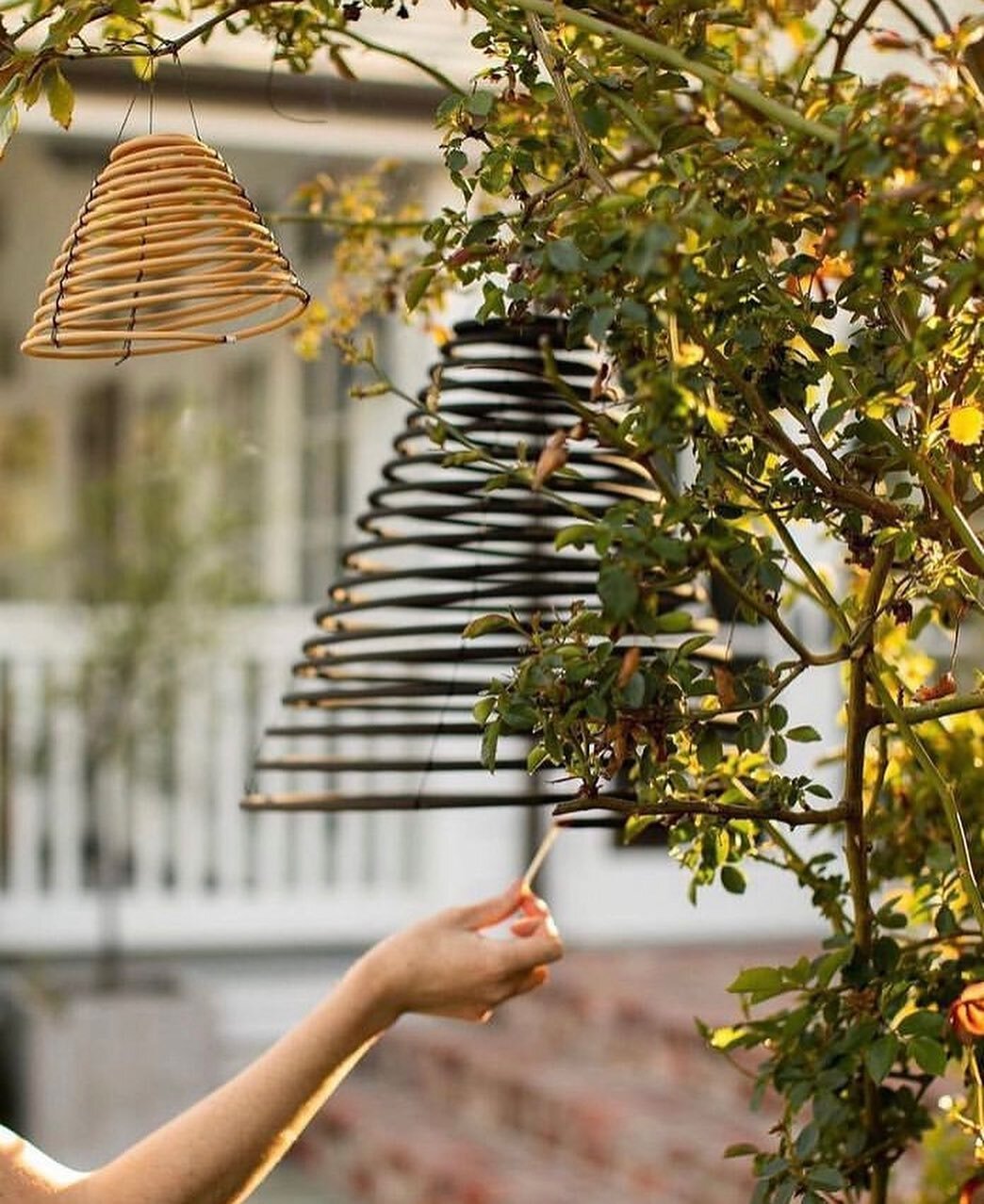 It may be HOT! in Texas, but we still have bugs. Keep the mosquitoes at bay with these decorative citronella coils.